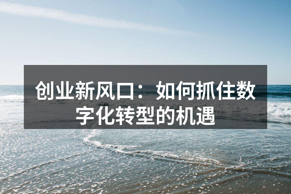 创业新风口：如何抓住数字化转型的机遇